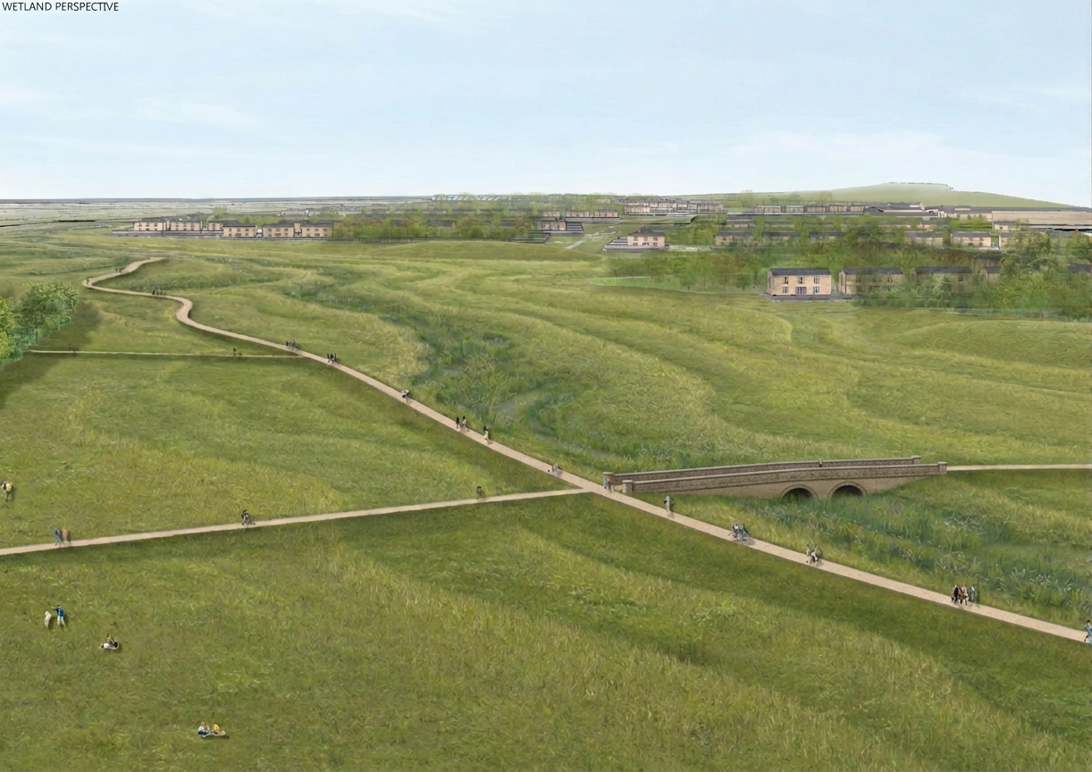 Wetland-perspective